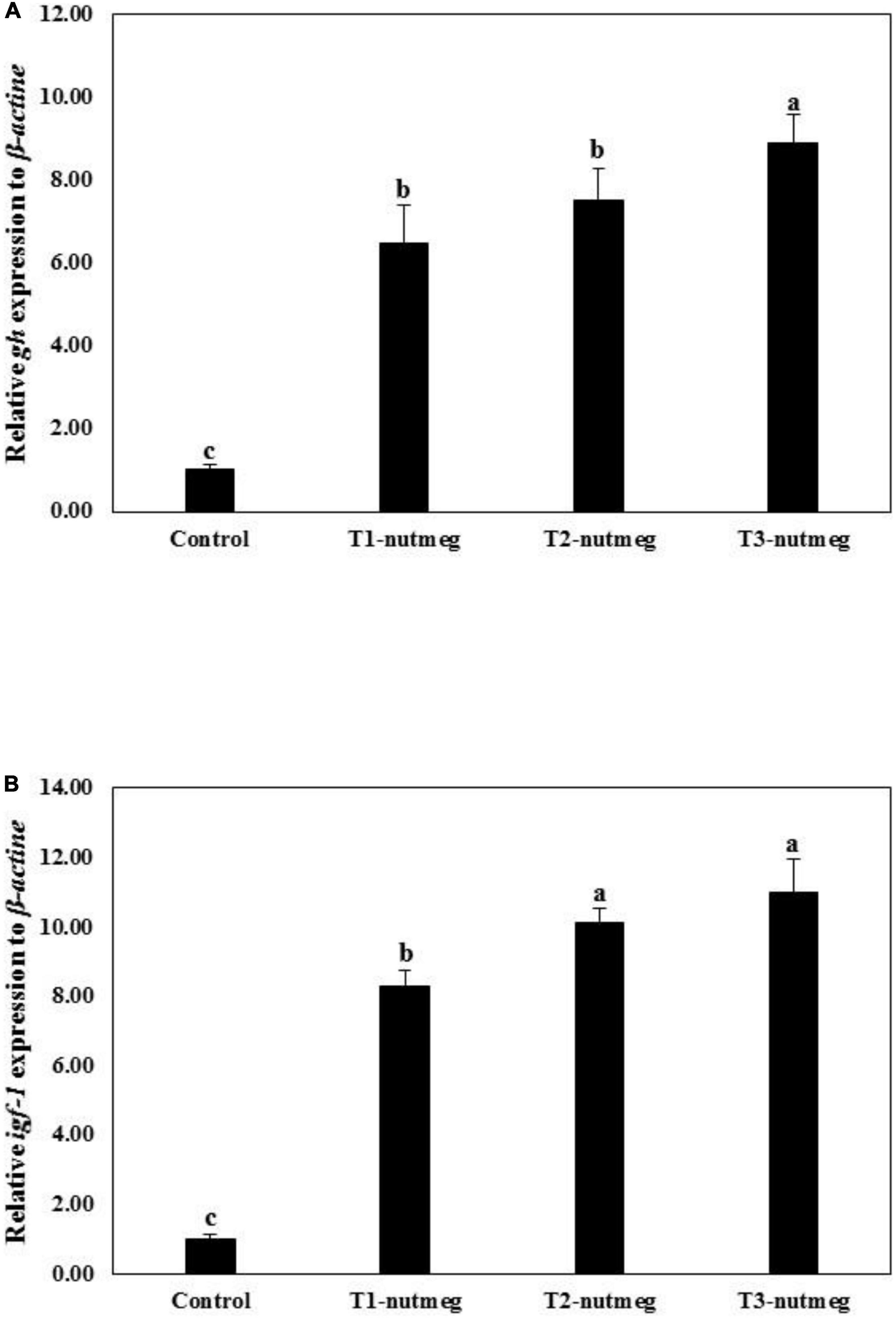 Effects of dietary nutmeg (Myristica fragrans) seed meals on growth, non-specific immune indices, antioxidant status, gene expression analysis, and cold stress tolerance in zebrafish (Danio rerio)
